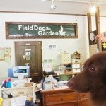 ASAGIRI Field Dogs Garden - 