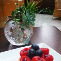 TRATTORIA CREATTA - 