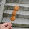 石段たまこんにゃく
