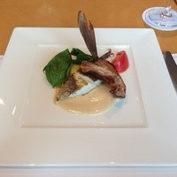 カサブランカ - スズキ