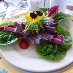 Star of Honolulu - ハワイ野菜のサラダ