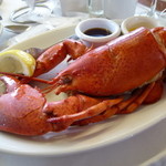 Star of Honolulu - ロブスター