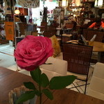 わのわカフェ - 