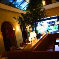 マディソン ニューヨーク キッチン - 