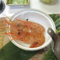 海鮮家 はこだて 本店 - 活ボタンエビ