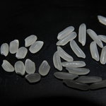 カサ・トリアングロ - 右がインディカ米、左が普通のジャポニカ米