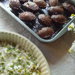 個室あり 生駒市でランチに使えるお店 ランキング 食べログ