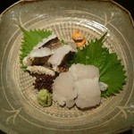 二条有恒 - 造り  鱧炙り  (2015/08/18)