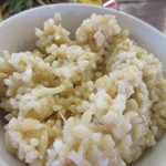Hotomekian - 御飯は白御飯、炊き込み御飯、玄米御飯が用意してあったんで玄米御飯を選びました。
      