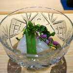 一献 - アカイカのお造り(2015/8月撮影)