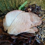 ラーメン 環2家 - 