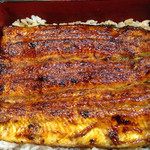 うなぎ専門店 うな菊 - 菊 うな重 2200円