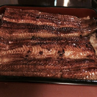 うなぎ川勢 - うな重松３６００円