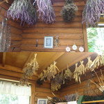 喫茶 ラ テール - ハーブ屋内にぶら下がるドライのハーブたち