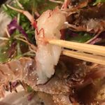 はまぐり水族館 - 手長海老の炙りカルパッチョ