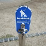 スターバックスコーヒー - ワンちゃん用