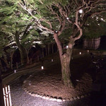 奈良ホテル ザ・バー - 眺め