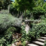 Le Jardin de Russie - パティオのテラス席で食事