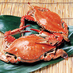 竹崎かに 茶寮 海旬 - 料理写真:絶品《竹崎蟹》