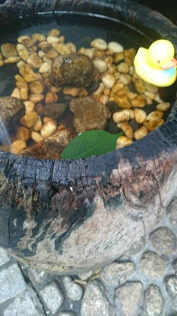 Kagurazaka Oishinbo Hon Ten photo 2