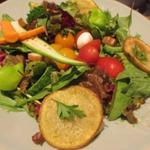 テーラ・テール - おひさまサラダ　H27.8月