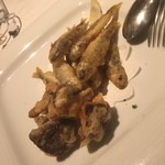 ヴィネリア カッシーニ - 