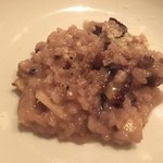 ヴィネリア カッシーニ - 