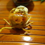 日本料理 太月 - サワガニ