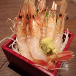 Kaisen Dokoro Sushi Tsune - ボタンエビの刺身