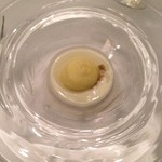 マダム・トキ - ビシソワーズ＋コーンのムース