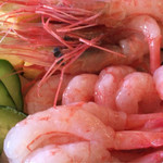 頭から尻尾まで美味しい！