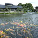釜屋 - お食事とともに楽しんでいただきたいのが、この絶好のロケーション。６００坪の広大な池に4００匹の錦鯉が泳ぐ光景は圧巻です。
