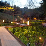 うかい鳥山 - 水芭蕉園