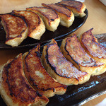 湘南茅ヶ崎 幸福餃子 - 焼き餃子