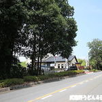 手打ちそば 楓 - 2015年8月　外観