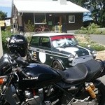 みんなのコーヒー - ミニがいます。