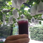 出山果樹園 - 絶品、ぶどうジュース