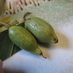 嵐渓荘 - 自家製マタタビ塩漬け