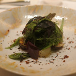 レミニセンス - ７種類の野菜と１５種類のハーブのサラダ