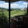 Hua Hin Hills Vineyard