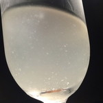 鯛めし槇 - 濁りのある珍しい泡