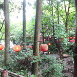 いろり山賊 - （第2回）店内？の様子