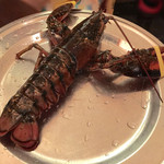 レッドロブスター - 調理直前の元気なロブスター