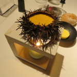 ライラ - シャロレー牛、北海道産の紫雲丹、ホワイト・アスパラガス3