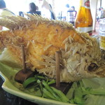 Mekong Rest Stop - エレファントフィッシュ