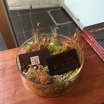 フロリレージュ - 