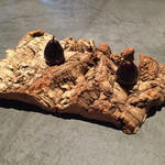 フロリレージュ - ナガノパープルのパート ド フリュイ