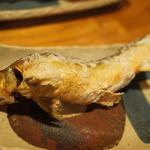 やまめ庵 - でっかい鮎の塩焼きです！