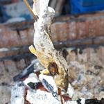 やまめ庵 - 到着時間に合わせて今宵の鮎を焼き上げていてくださいました