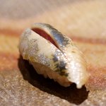 鮨 さいとう - 2015/9いわし